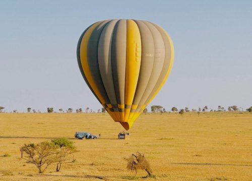 Pianificare un evento di destinazione in un ambiente safari: cosa dovresti sapere