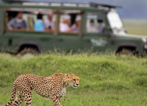 15-Day Grand Northern Tanzania Safari & Zanzibar Escape
