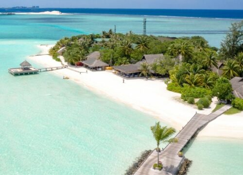 7-Day Northern Tanzania Safari & Zanzibar Escape