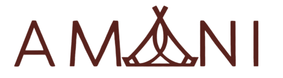 Amani Safari – Il miglior safari in Tanzania